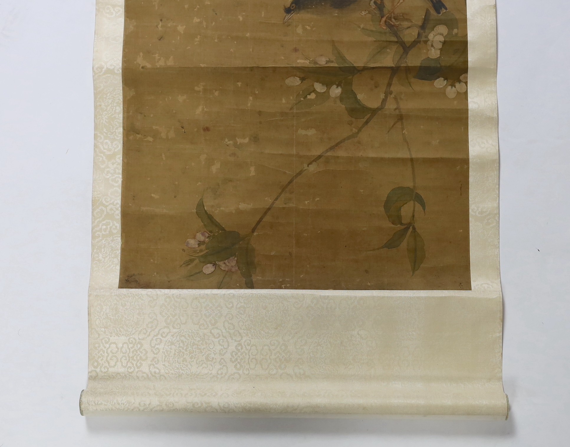 A Chinese scroll painting on silk of blackbirds perched on a blossoming branch, 19th century, image 79cm x 35cm